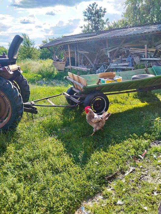 Продам трактор Т25