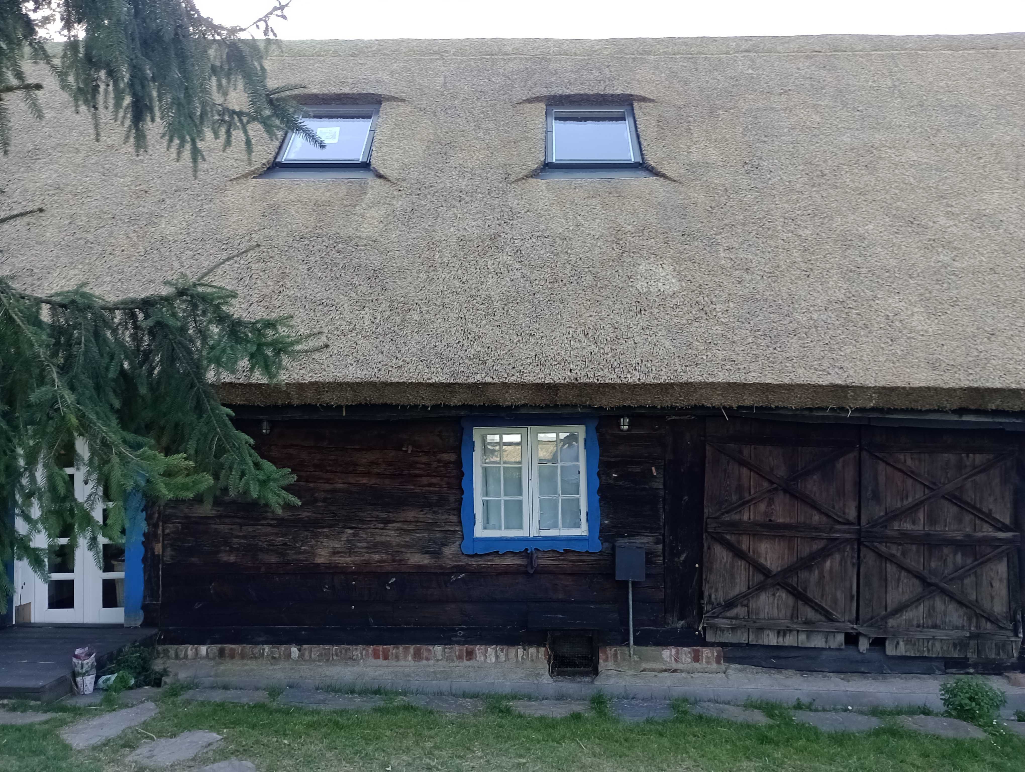 DACH TRZCINOWY ,dach z trzciny, strzecha ,altanki ,remonty ,naprawa .