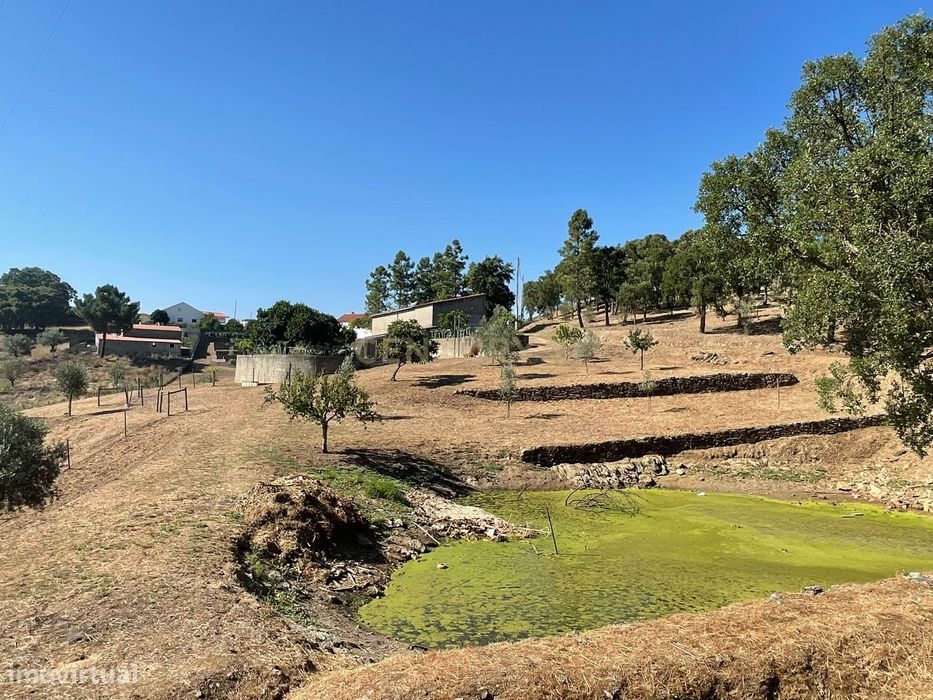 Terreno em Casal da Figueira, Martinchel