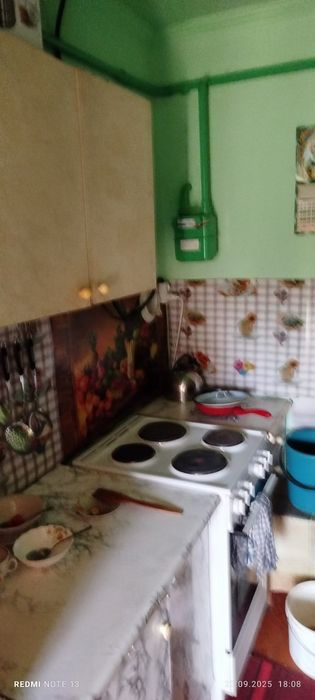 Будинок в Карпатах