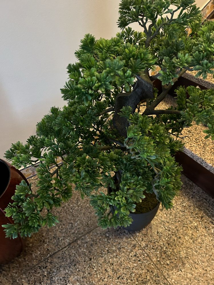 Bonsai artificial optimo estado