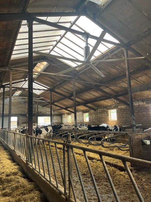 Destryfikator HELI HVLS wydajny mieszacz powietrza 2,4 - 7,3m