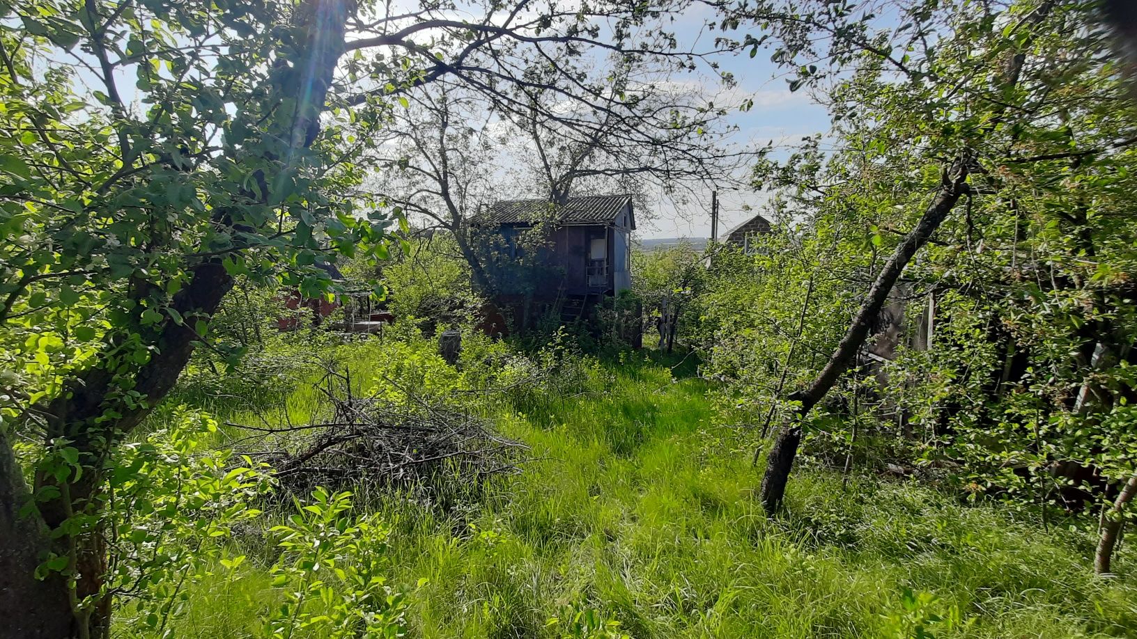 Продам дачу,с.Абазівка