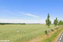 27 000 m2 ZABUDOWA ZAGRODOWA  + 16 000 m2 TERENY ROLNE | Gmina Dopiewo