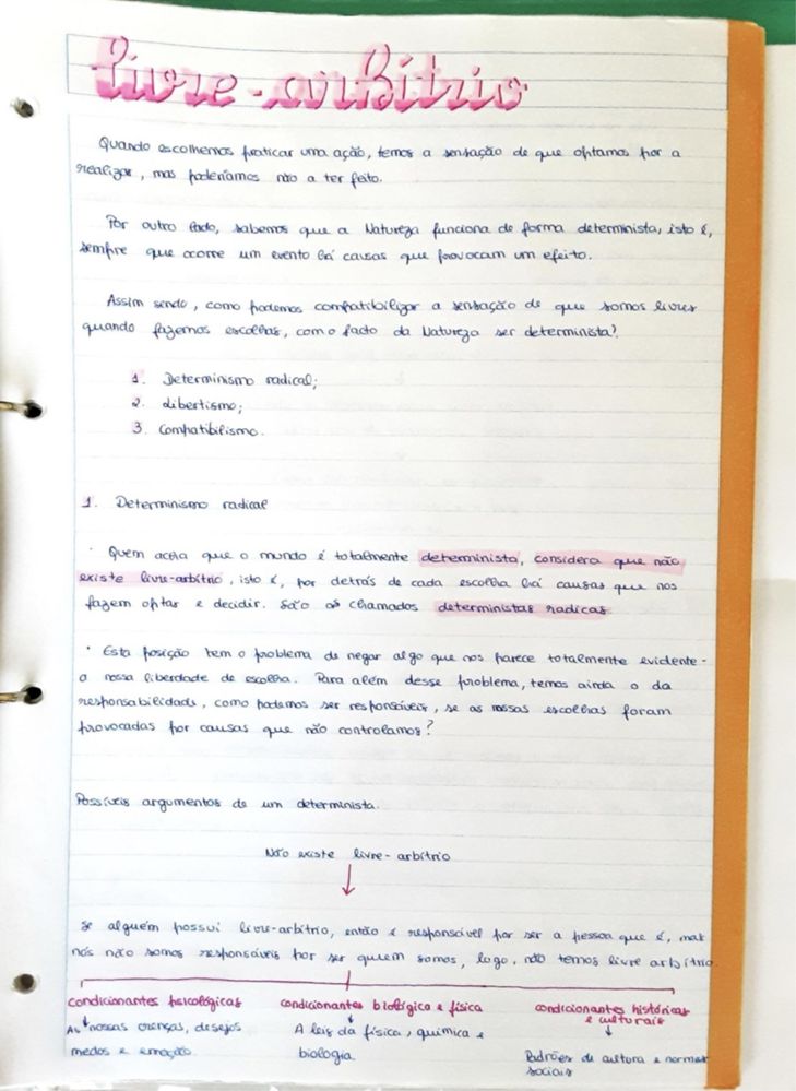 Resumos Filosofia 10º/11º para Exame Nacional IAVE