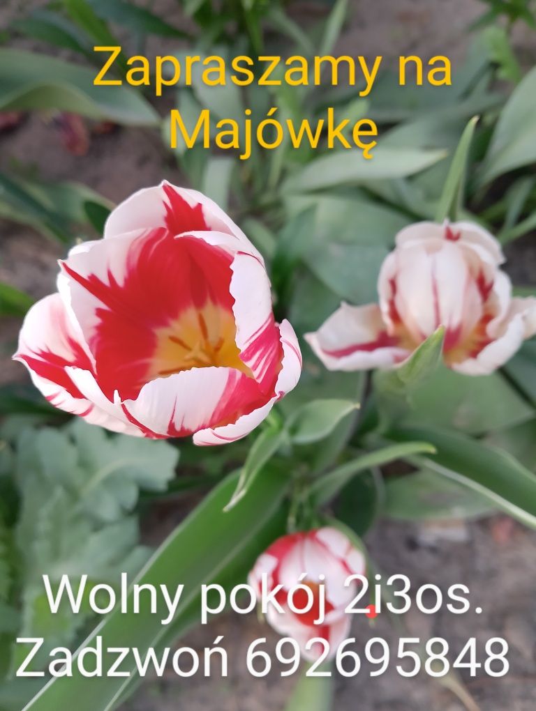 Nocleg od dziś Weekendy i Wakacje 2i3os. z łaz, mikrofa, lod, pralka.