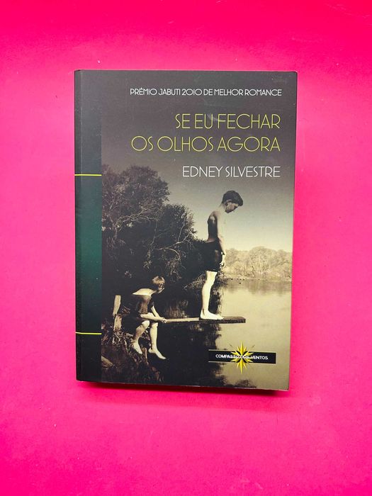 Se Eu Fechar Os Olhos Agora - Edney Silvestre