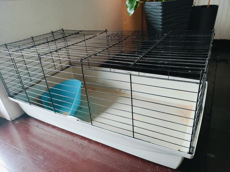Klatka dla królika/świnki morskiej