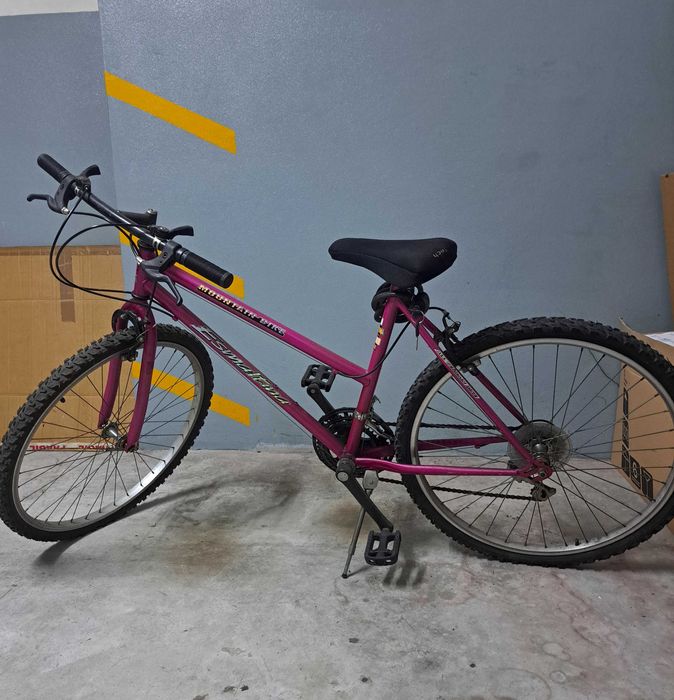 Vendo bicicleta adulto