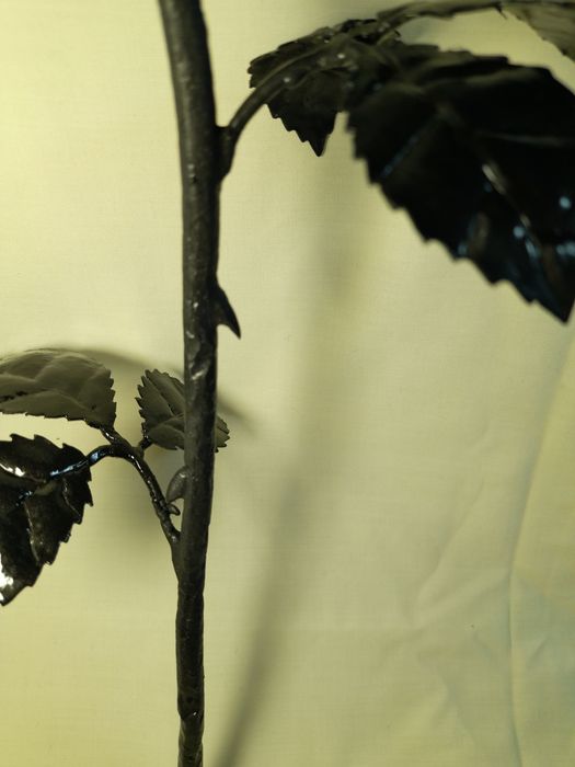 Кована троянда...