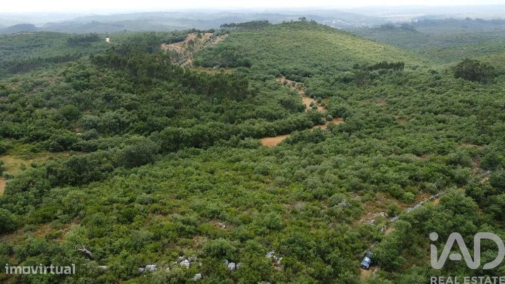 Terreno em Chãos de 3880,00 m2