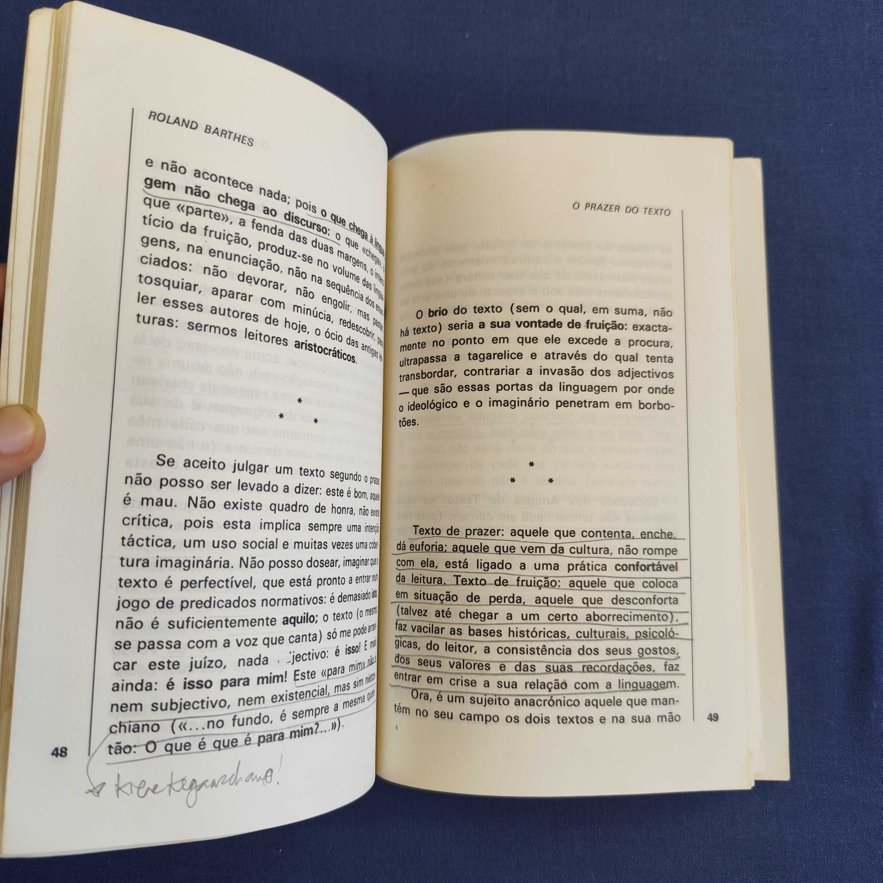 Roland Barthes - O Prazer do Texto