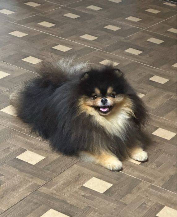 Супер красень чекае дам