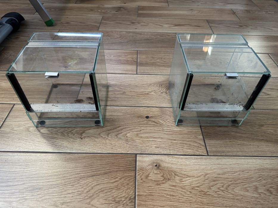 2x terrarium 20x20x20