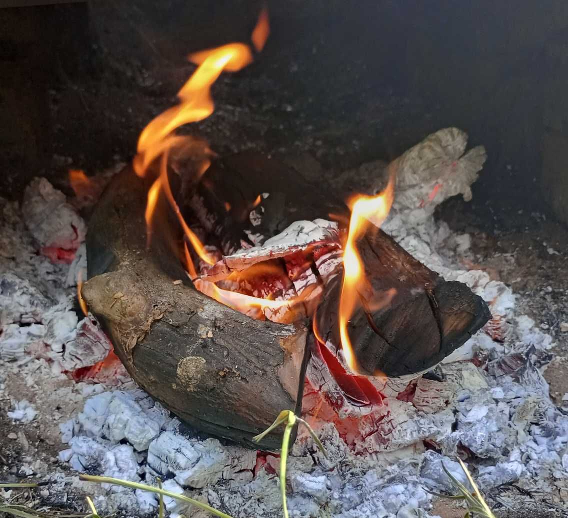 Drewno do wędzenia SUCHE na ognisko do kominka OLCHA 20kg