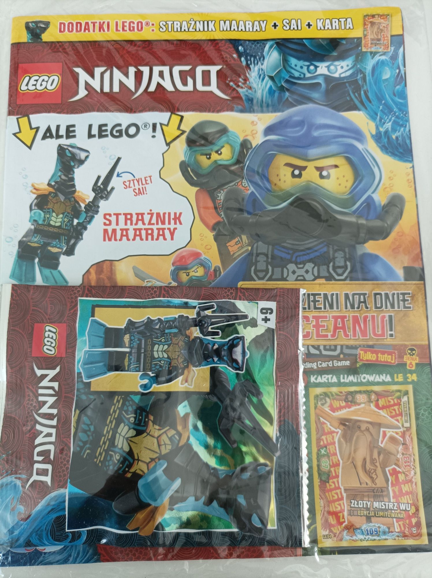 Magazyn LEGO ninjago 13/2021