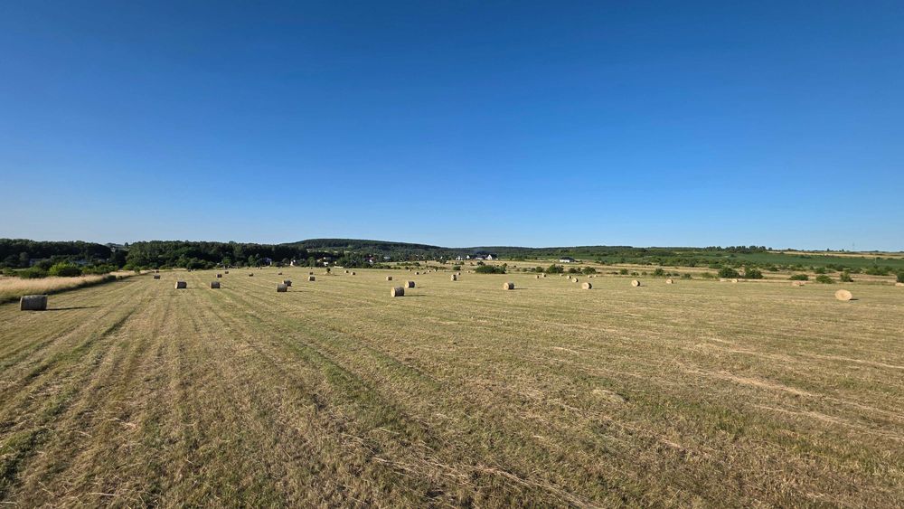 Siano baloty suche i pachnące