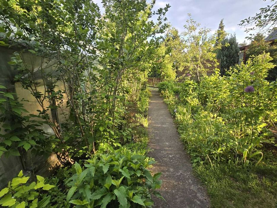 Sprzedam działkę rekreacyjną w ROD