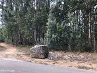 Terreno Urbano  Venda em Águeda e Borralha,Águeda