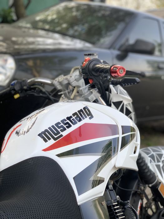 Мустанг Регион 200 | Musstang Region 200