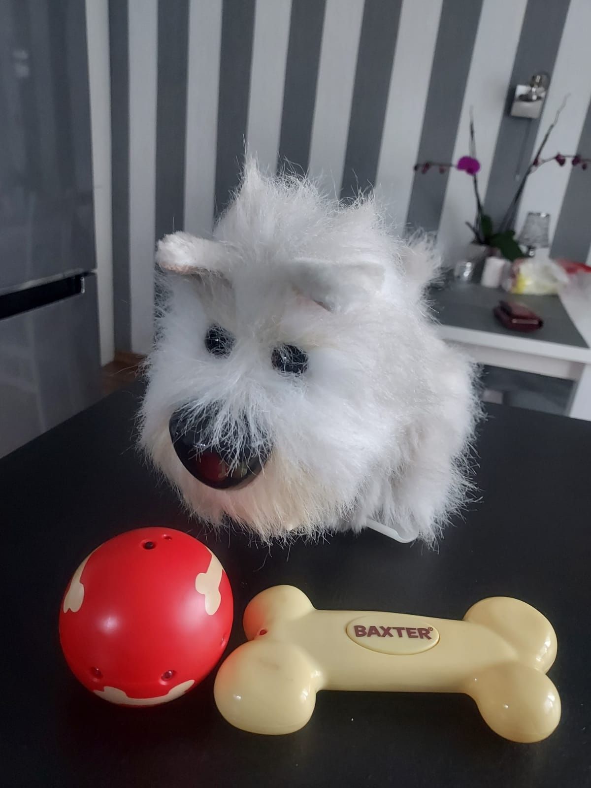 Baxter zabawka interaktywna