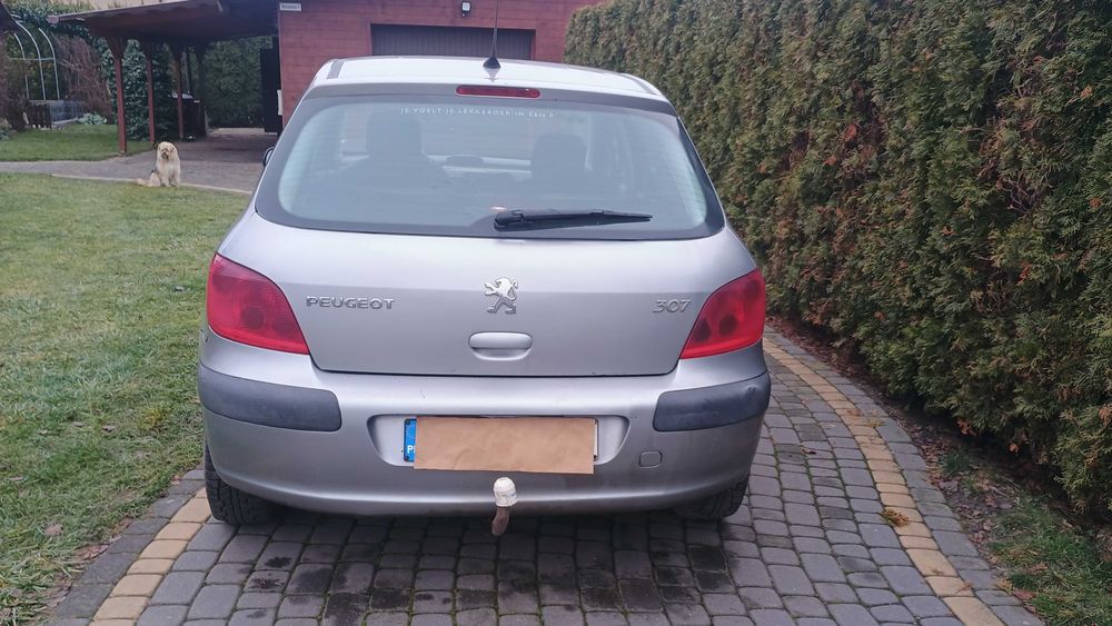Zwinny PEUGOT 307