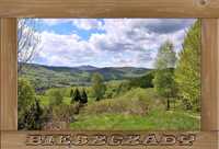 Magnes na lodówkę - Bieszczady