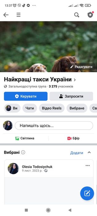 Шикарний кролячий мраморний таксик.