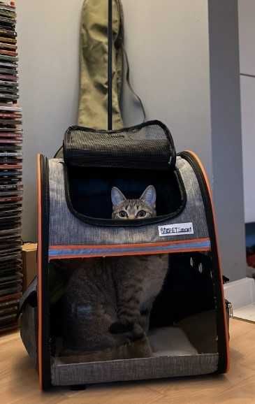 Plecak kota psa transporter transporterek duży 35 x 28 x 44 cm