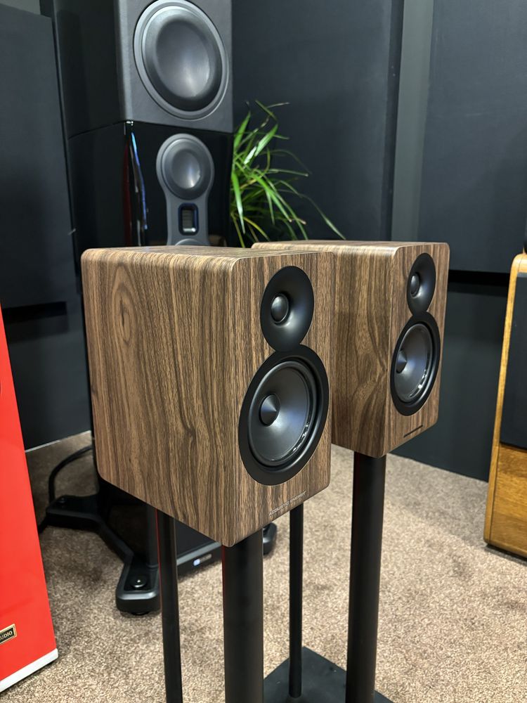 Acoustic Energy AE 100 II - kolumny podstawkowe
