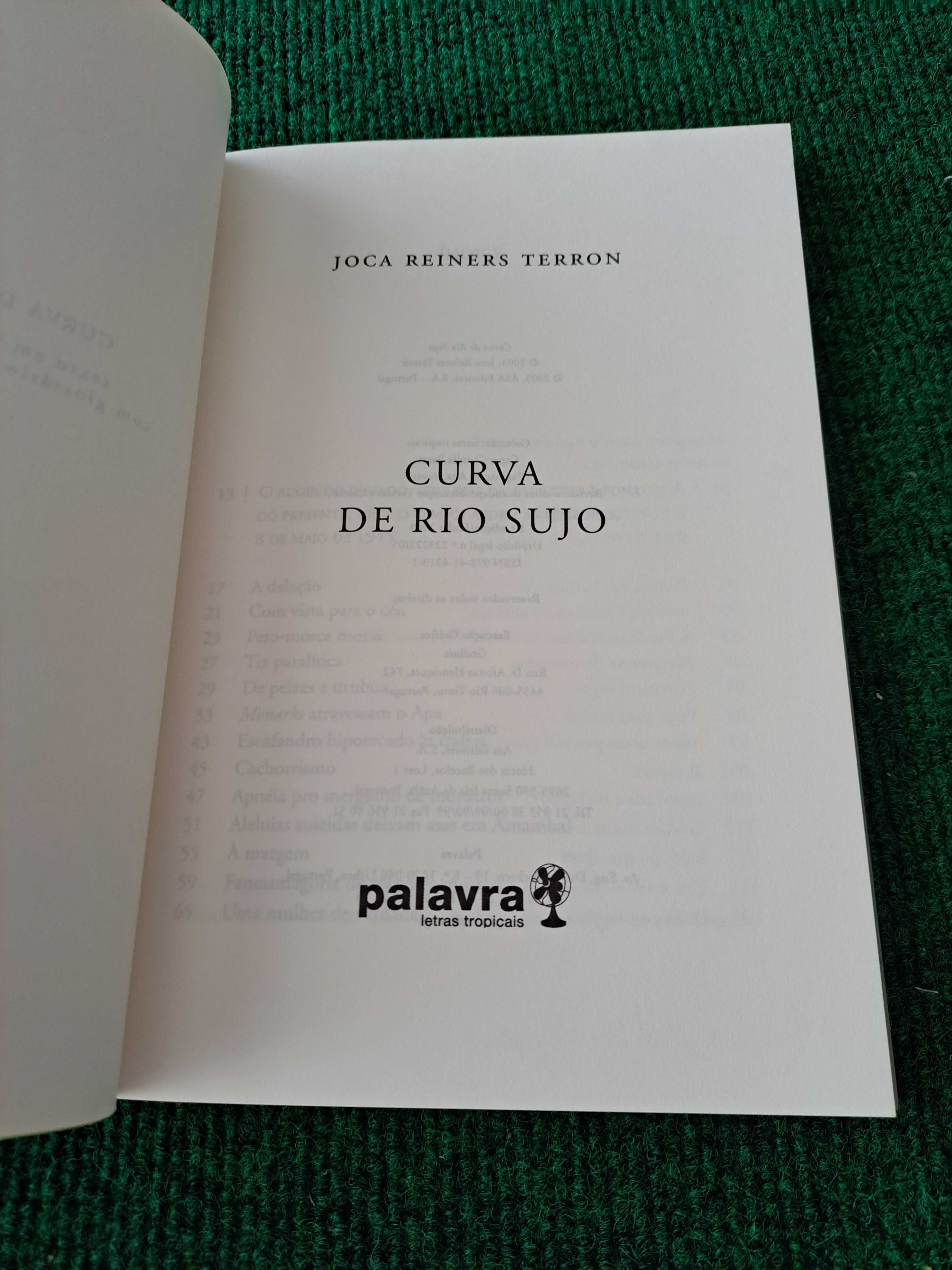Curva de Rio Sujo - Joca Reiners Terron