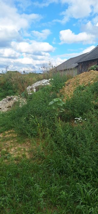 Oddam ziemię za darmo