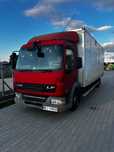 DAF LF/ZF 45 220KM