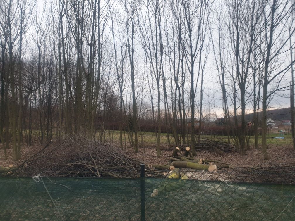 Koszenie trawy i karczowanie działek i przycinanie drzew i odśnieżanie
