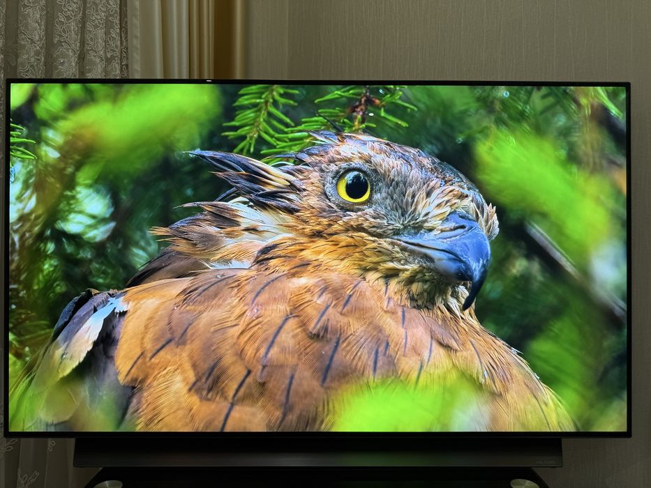 Телевізор LG OLED OLED55CX3LA 55" 4K 120Hz