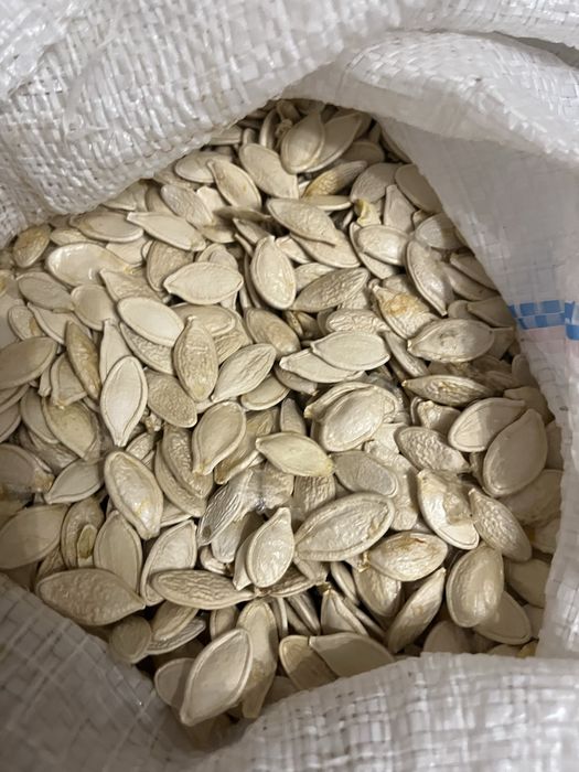 Насіння гарбуза сушене та смажене/ Семечки тыквенные /квасоля