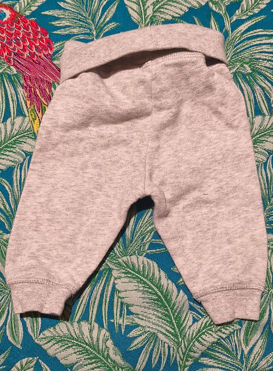 Spodenki spodnie niemowlęce H&M roz. 56