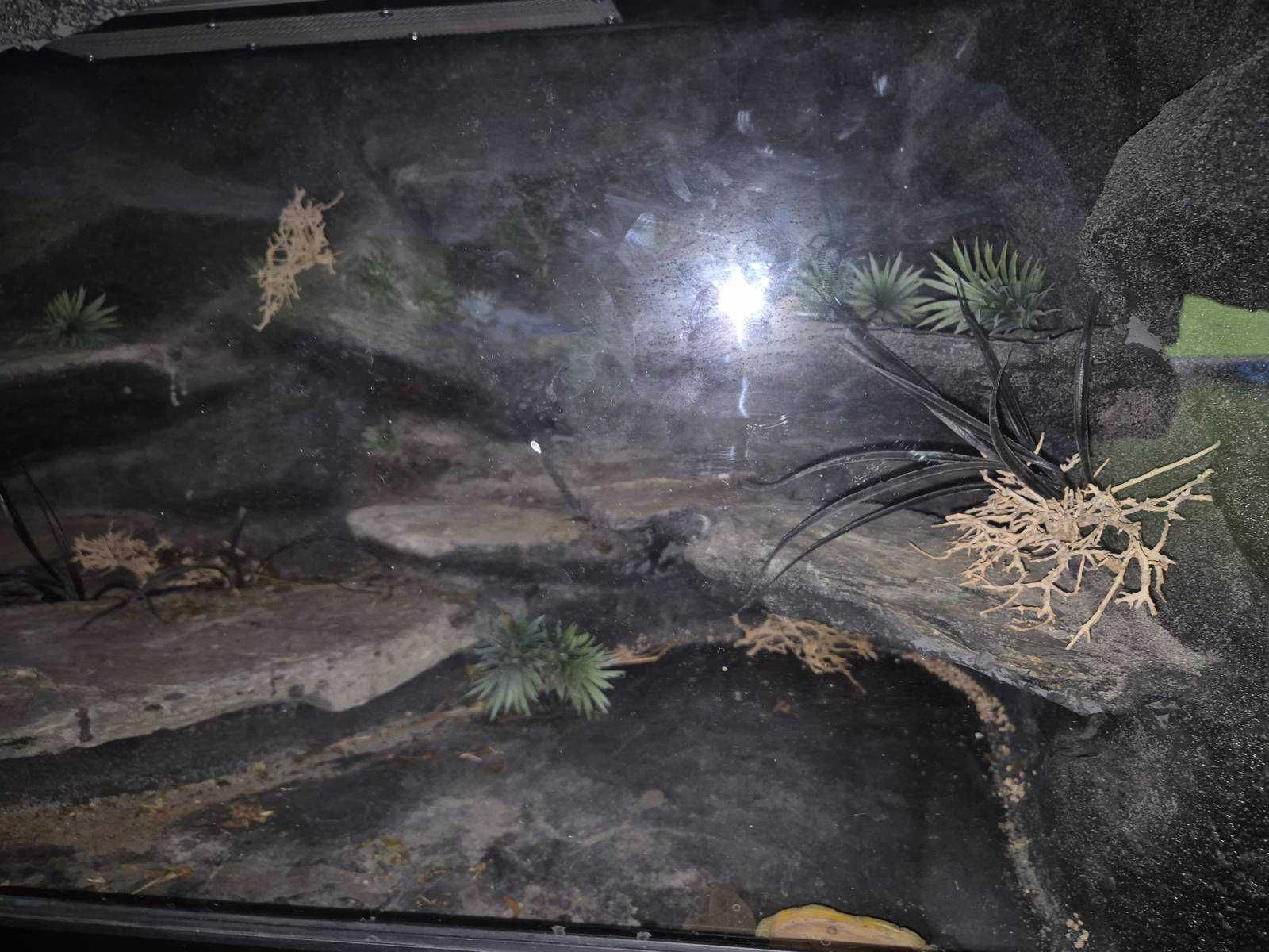 Sprzedam Terarium