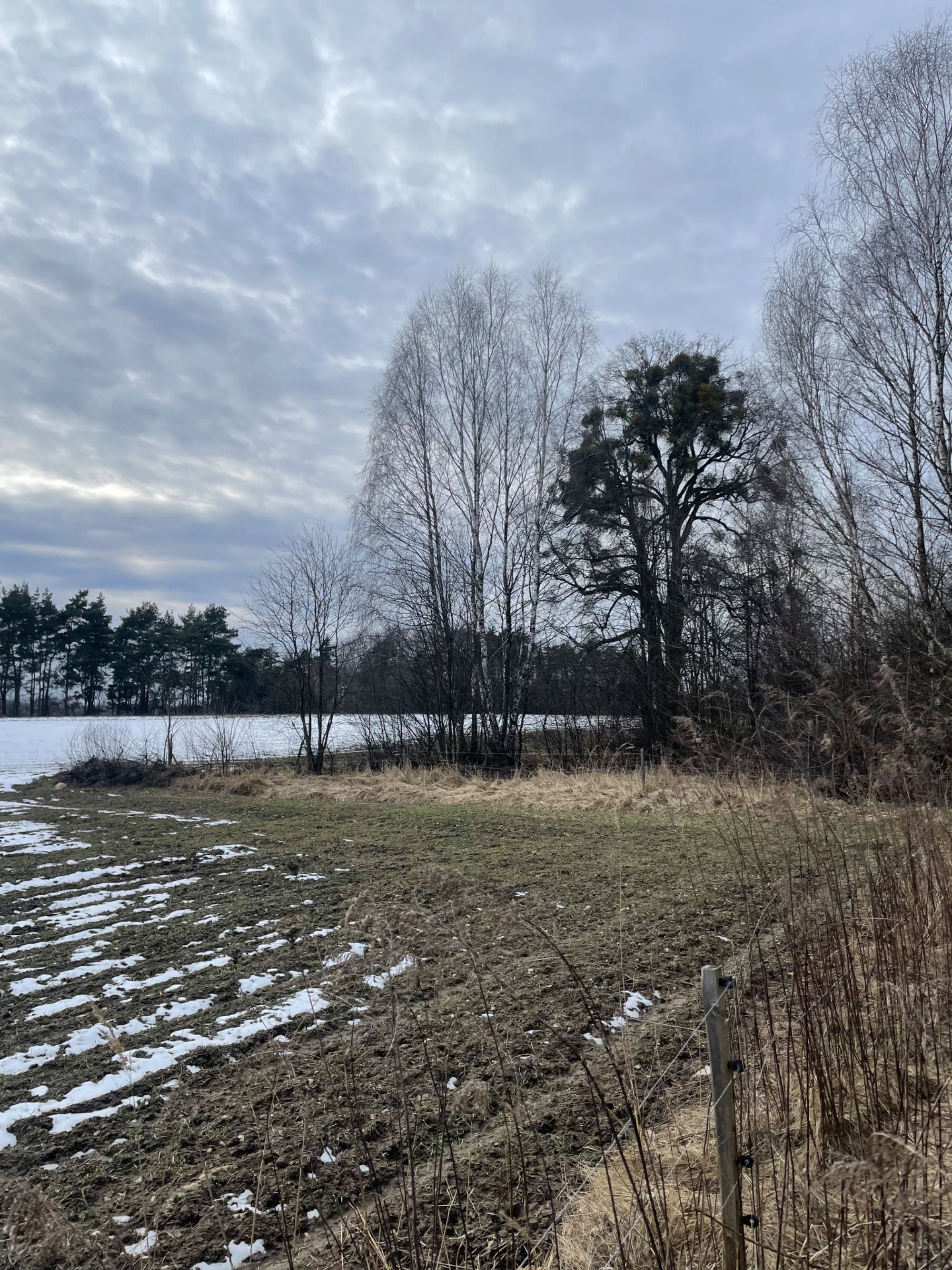 Piękna działka w Nowosolnej na sprzedaż