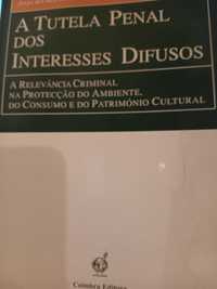 A tutela penal dos interesses difusos