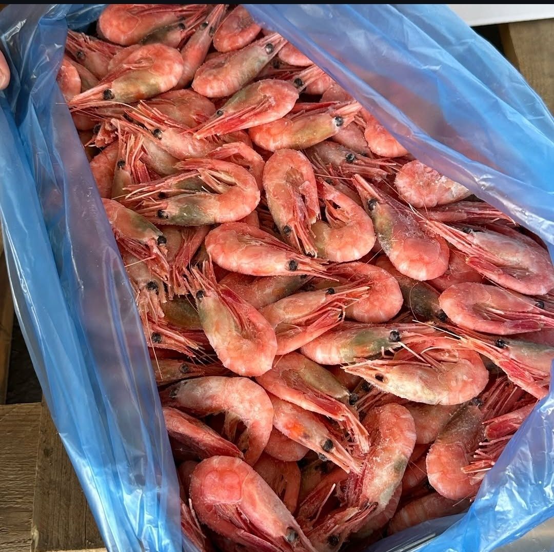 Раки,рыба,икра,креветка опт и розница