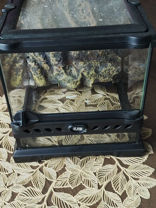 Terrarium exo-terra +tlo