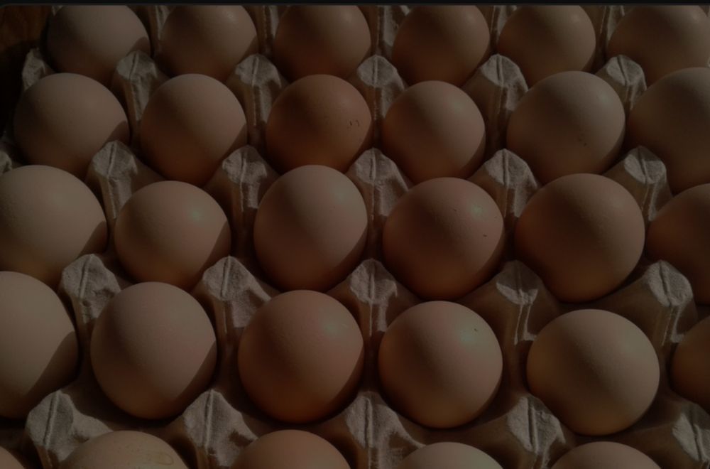 Продам домашніє яйця