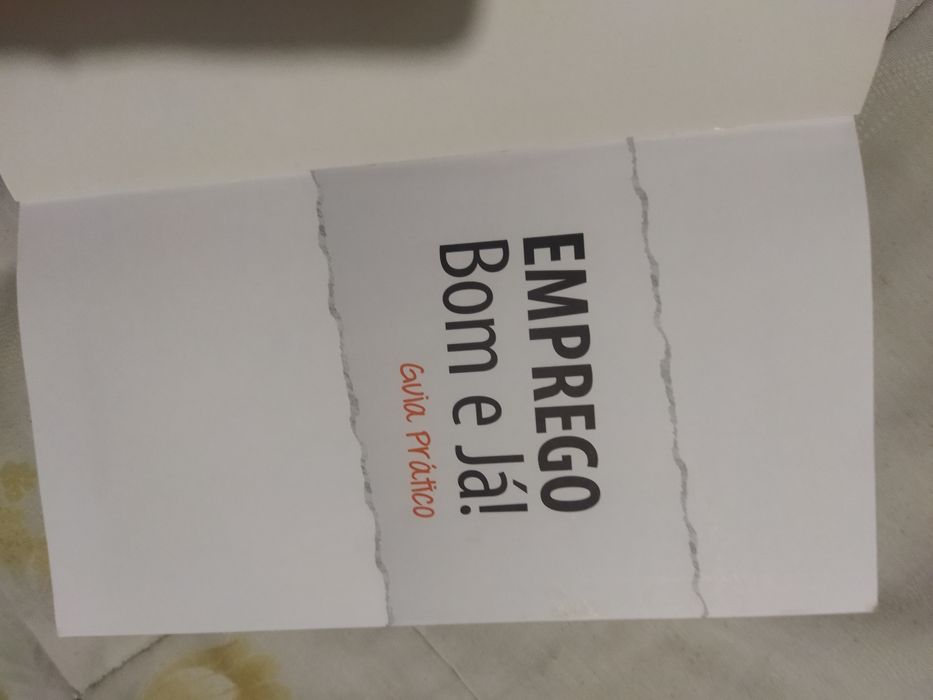 Livro em bom estado "Emprego, bom já!"