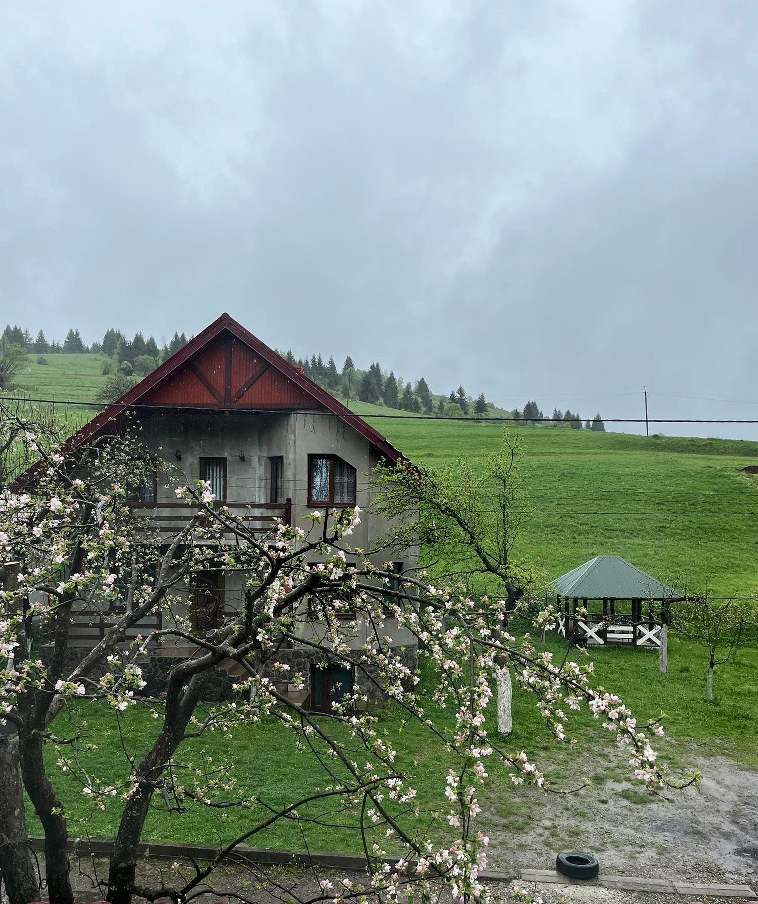 Відпочинок в Карпатах