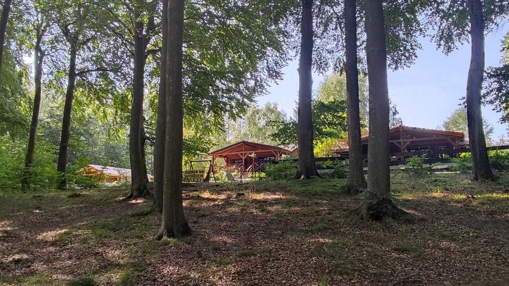 Drewniany domek z kominkiem, ładnym widokiem na jezioro, klima,