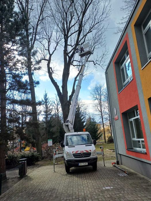 Podnośnik koszowy, wynajem