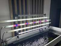 Aquael led tube plant/ sunny 100cm