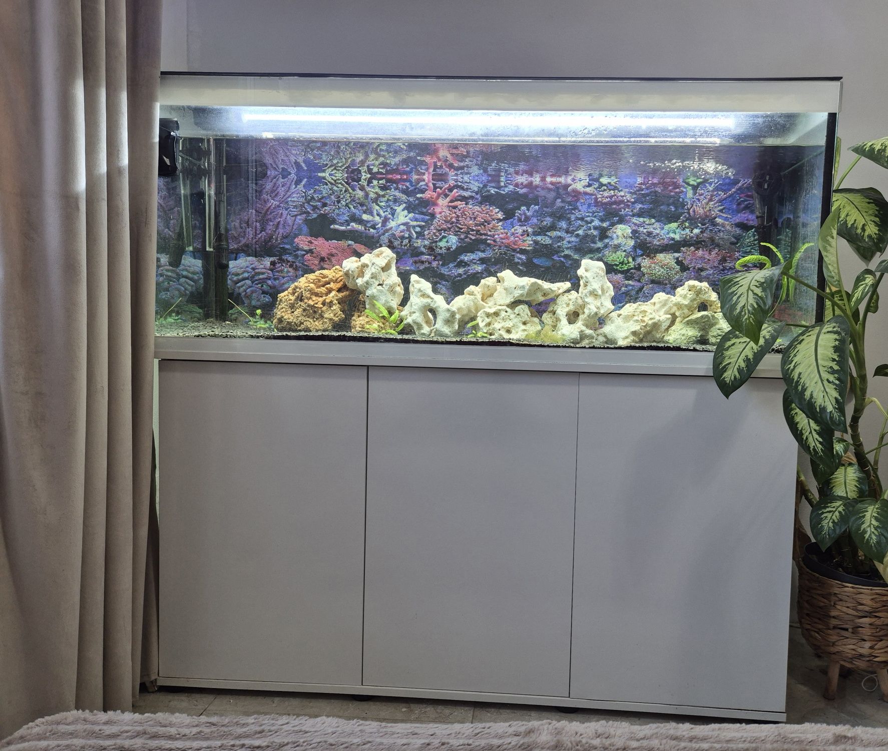 Akwarium 450l z szafką i całym osprzętem