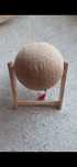 Bola de brincar para gato
